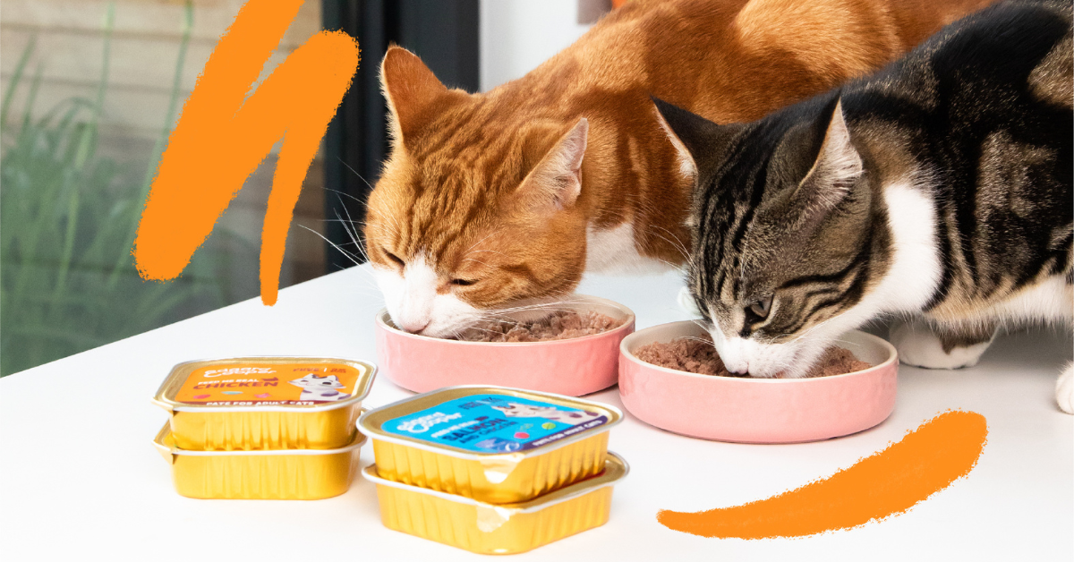 Was ist das Beste fr meine Katze: Nassfutter, Trockenfutter oder beides? |  Edgard & Cooper