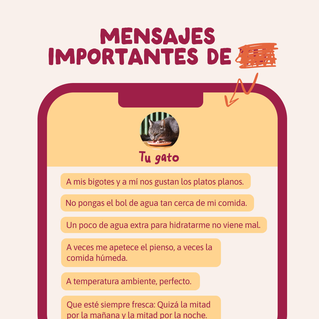 10 Chunks-Pouches DTC ES Chicken Messages