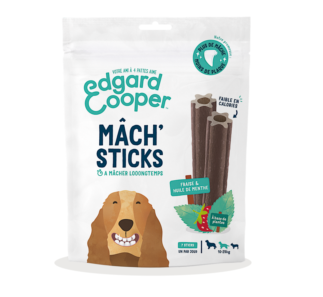 Pack - Dog Adult Dental Strawberry Mint Medium SRP FR