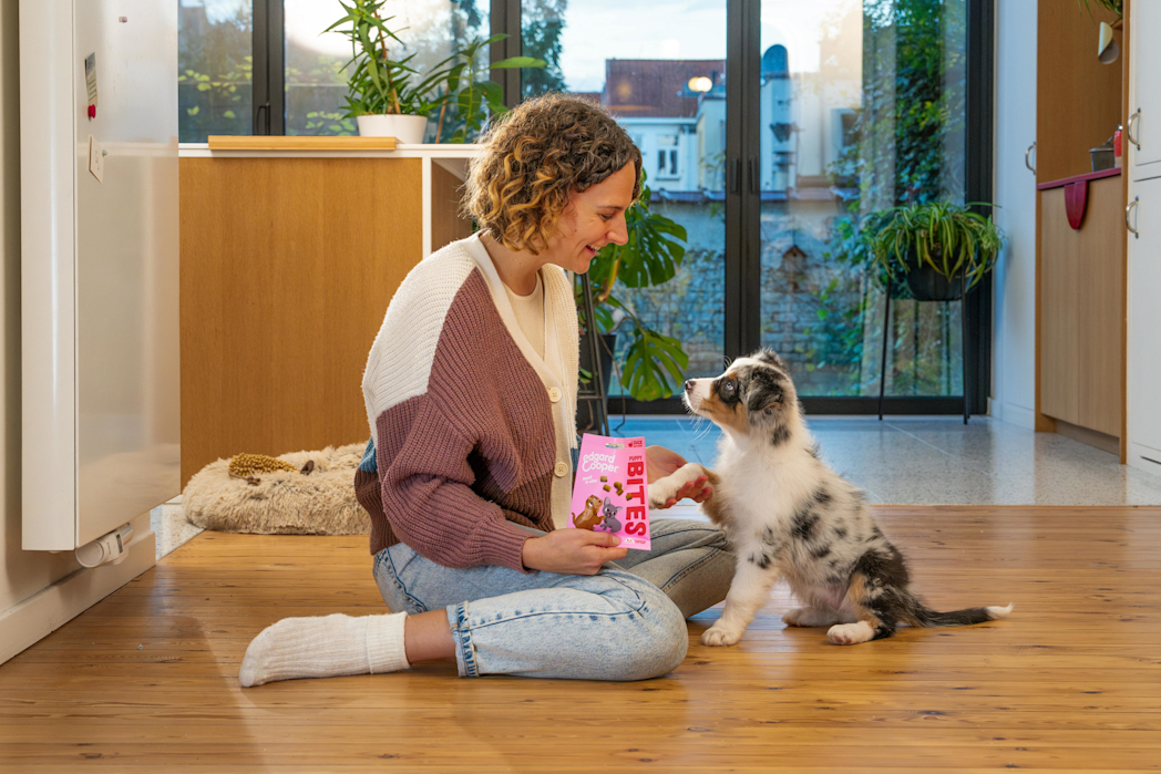 Lifestyle - Dog Junior Bites Duck Chicken EN
