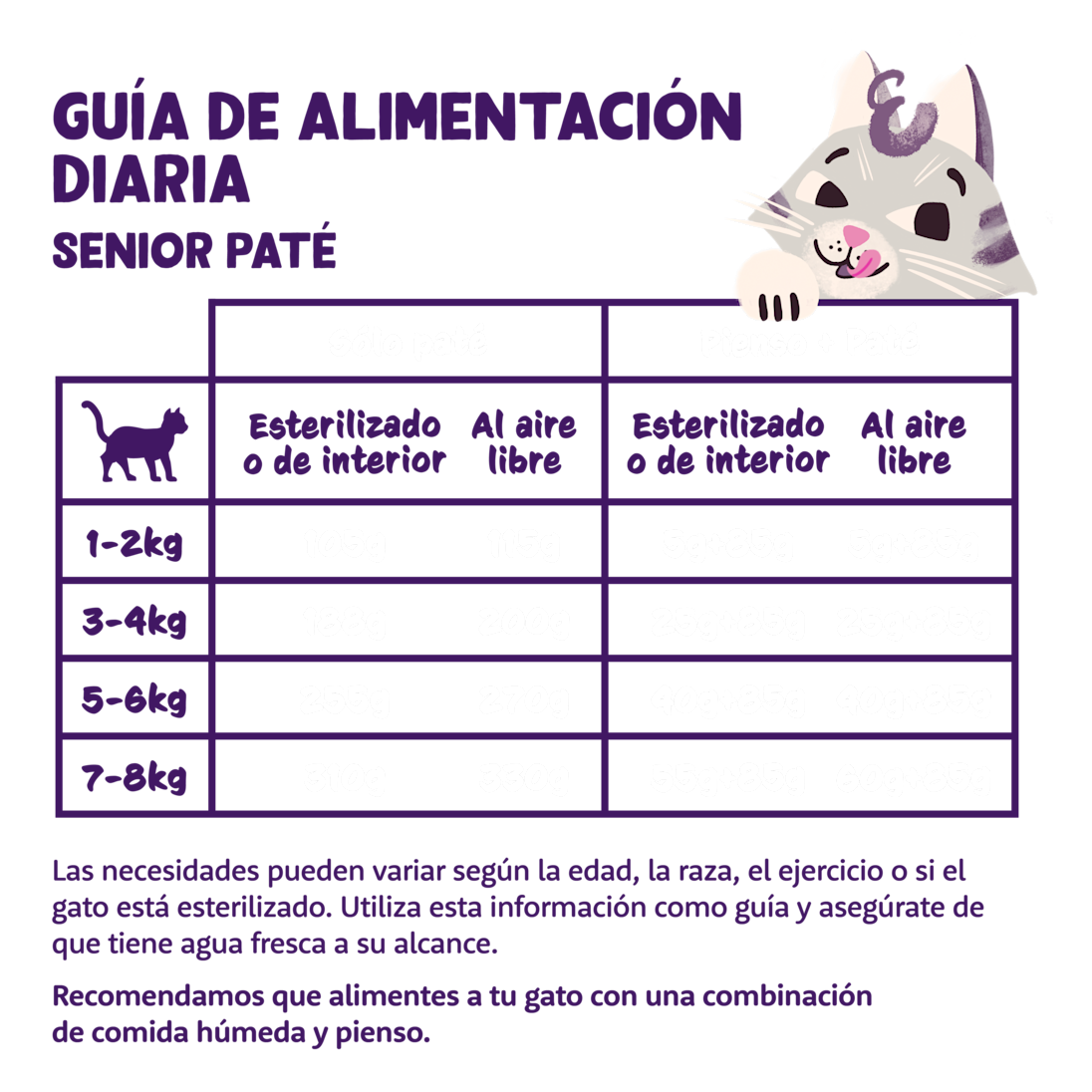 Feeding - Cat Senior Paté Cup ES