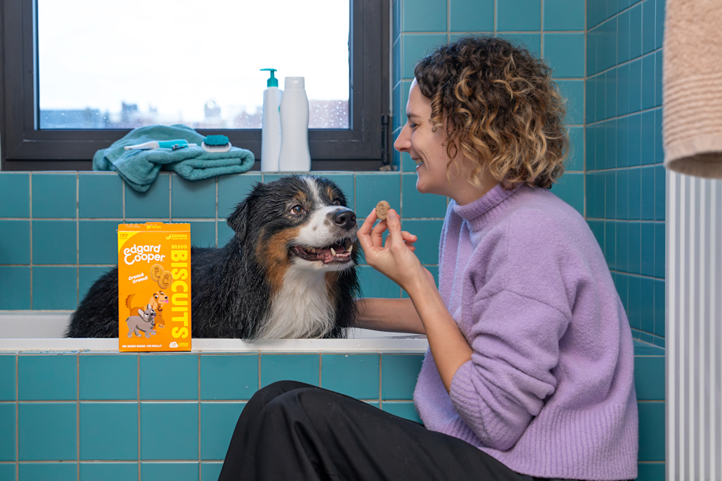 Lifestyle - Dog All Biscuits Banana Peanut EN