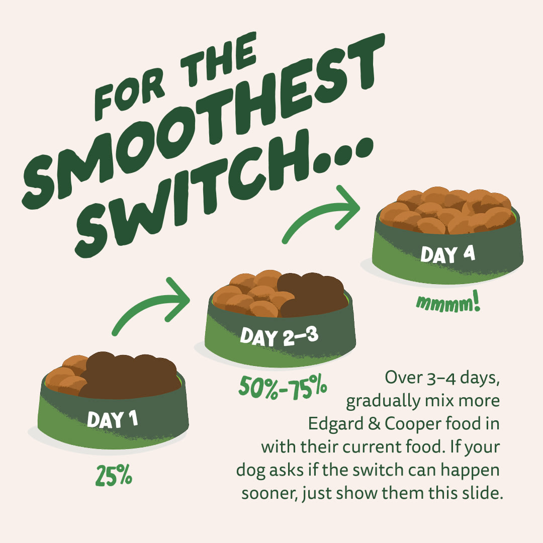 4 Dog-Refresh DTC-Assets EN Adult-Lamb SWITCH