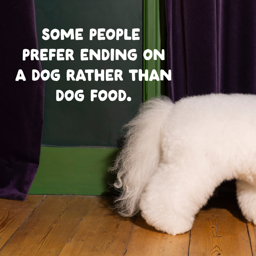 13 Dog-Refresh DTC-Assets EN Adult-Venison CLOSE