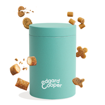 treat-jar-visual