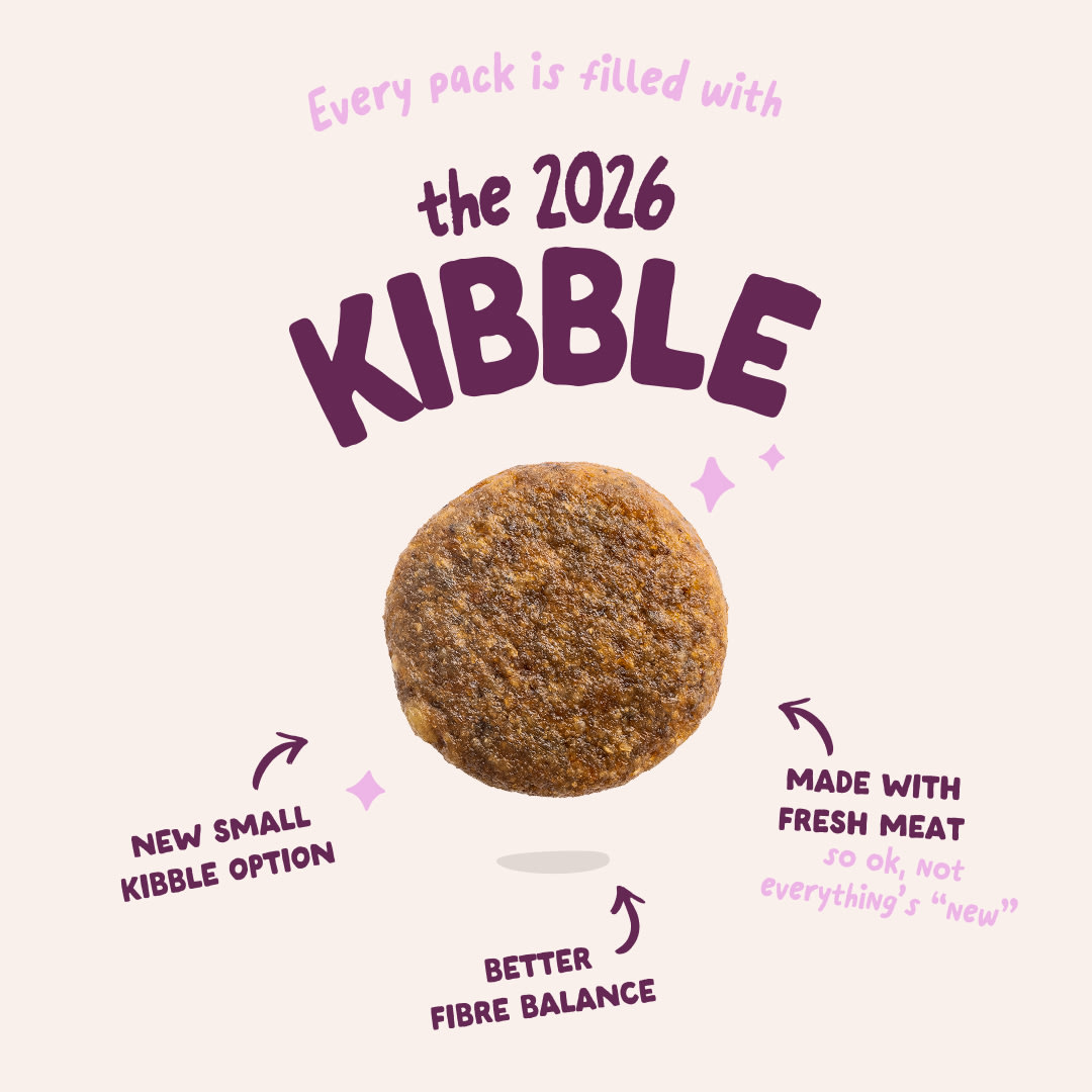 3 Dog-Refresh DTC-Assets EN Adult-Venison 2026 KIBBLE