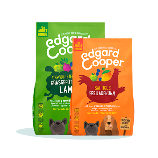 DogsDryFood DE