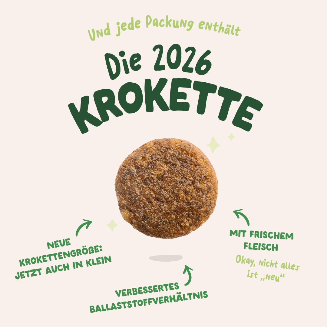 3 Dog-Refresh DTC-Assets DE Adult-Lamb 2026 KIBBLE