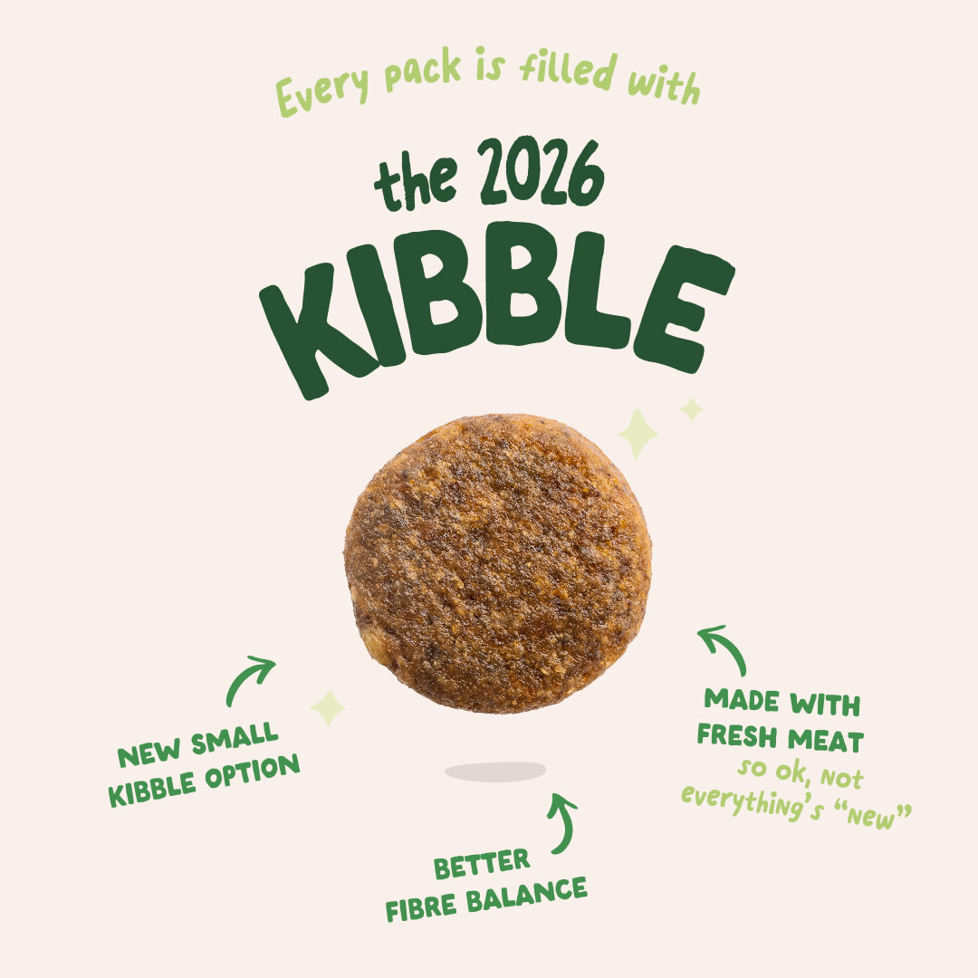 3 Dog-Refresh DTC-Assets EN Adult-Lamb 2026 KIBBLE