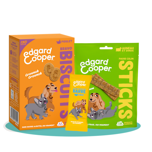 DogsTreats FR