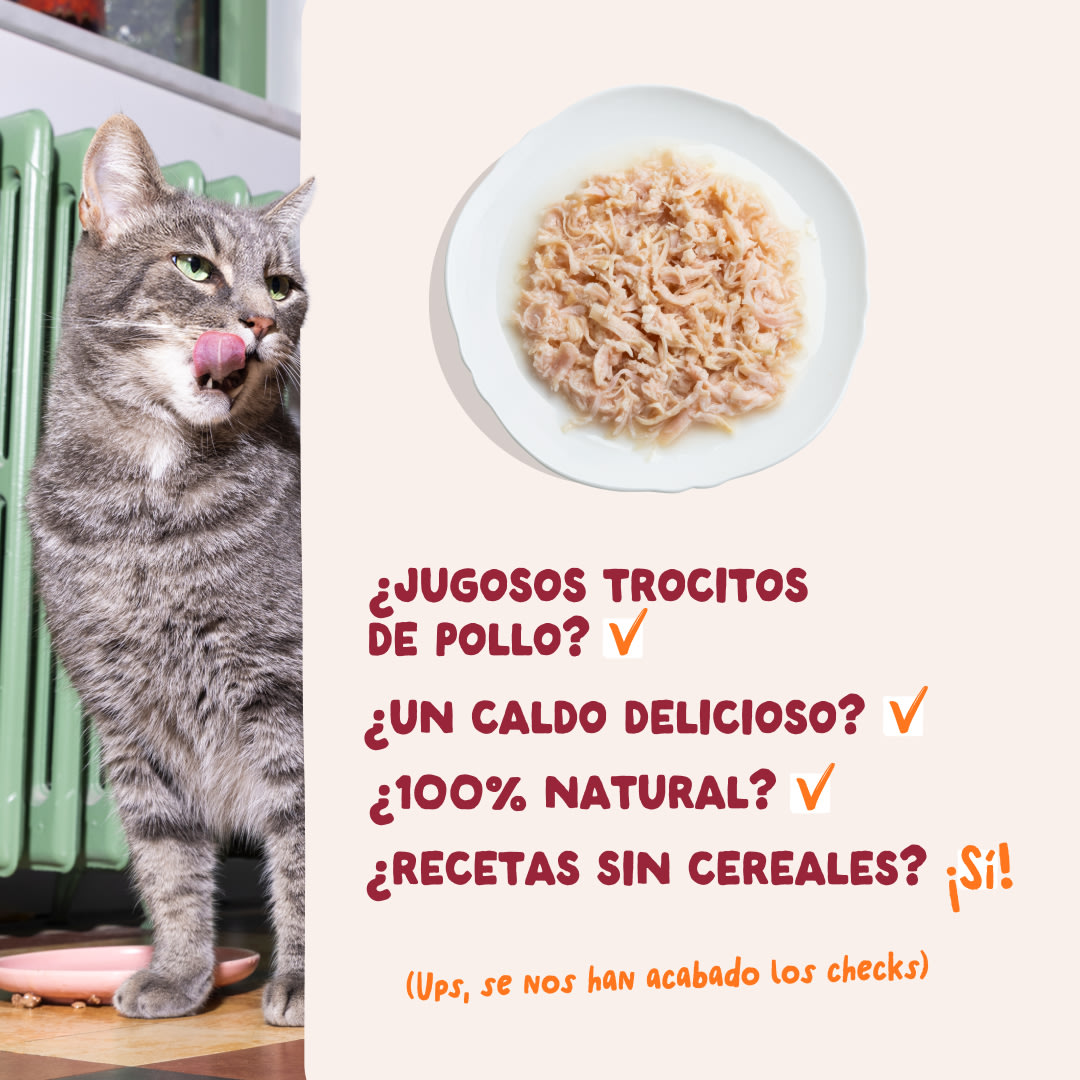 5 Cat-Fillets DTC ES ChickenNatural USPs