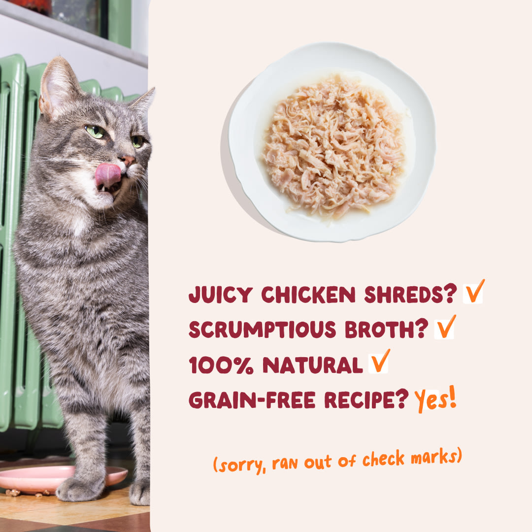5 Cat-Fillets DTC EXP ChickenNatural USPs