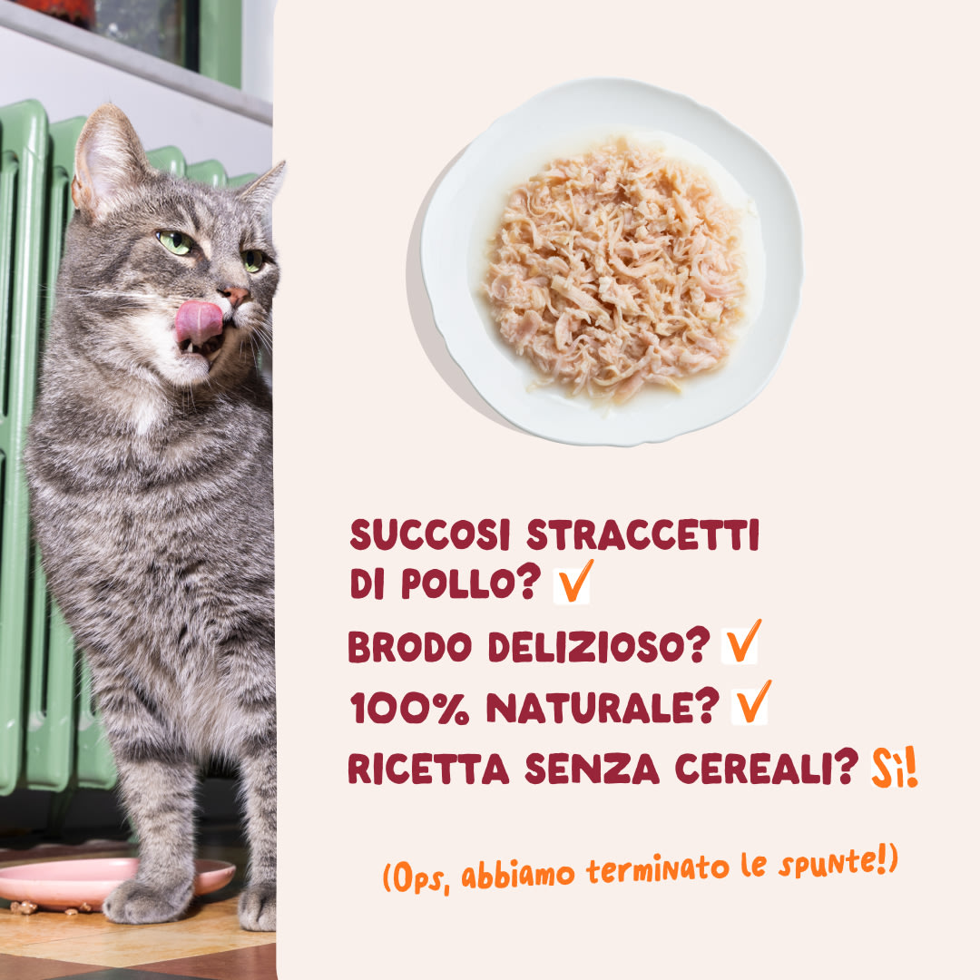 5 Cat-Fillets DTC IT ChickenNatural USPs