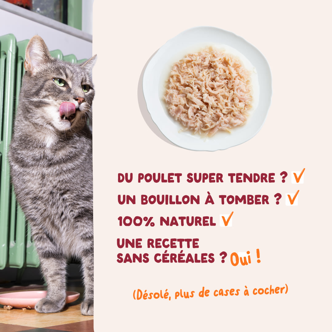 5 Cat-Fillets DTC FR ChickenNatural USPs