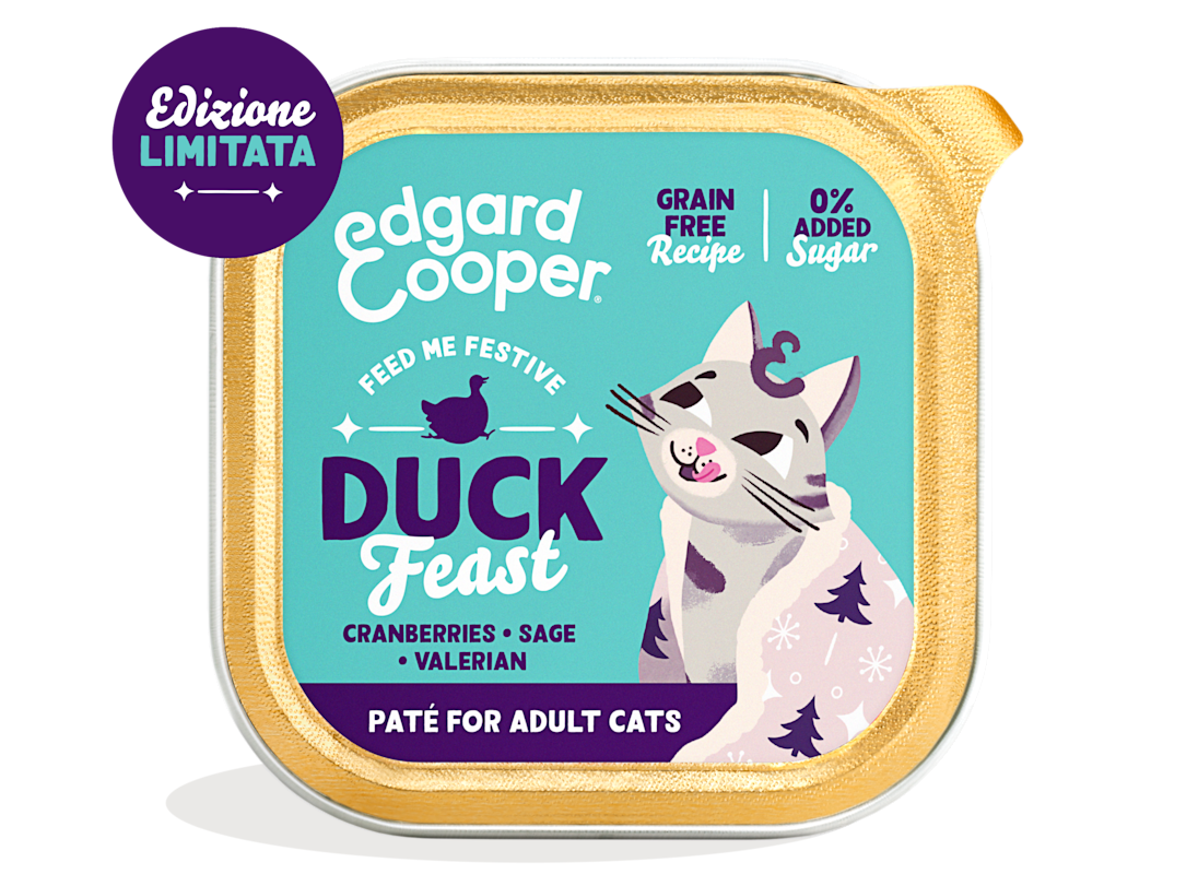 EC 2023 Cat Festive Cup 85g Export IT