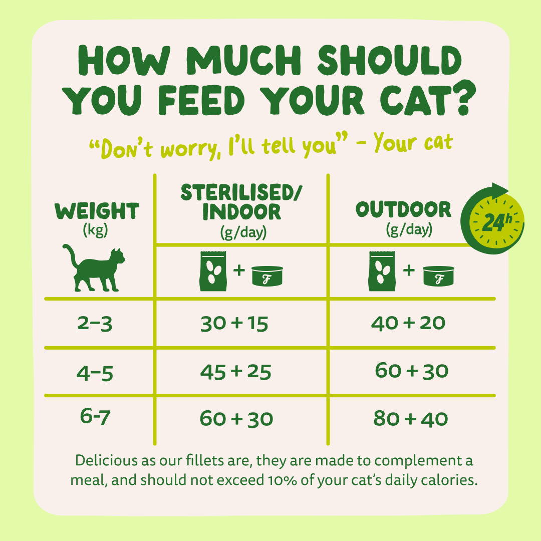 8 Cat-Fillets DTC EXP MackerelNatural FeedingGuidelines
