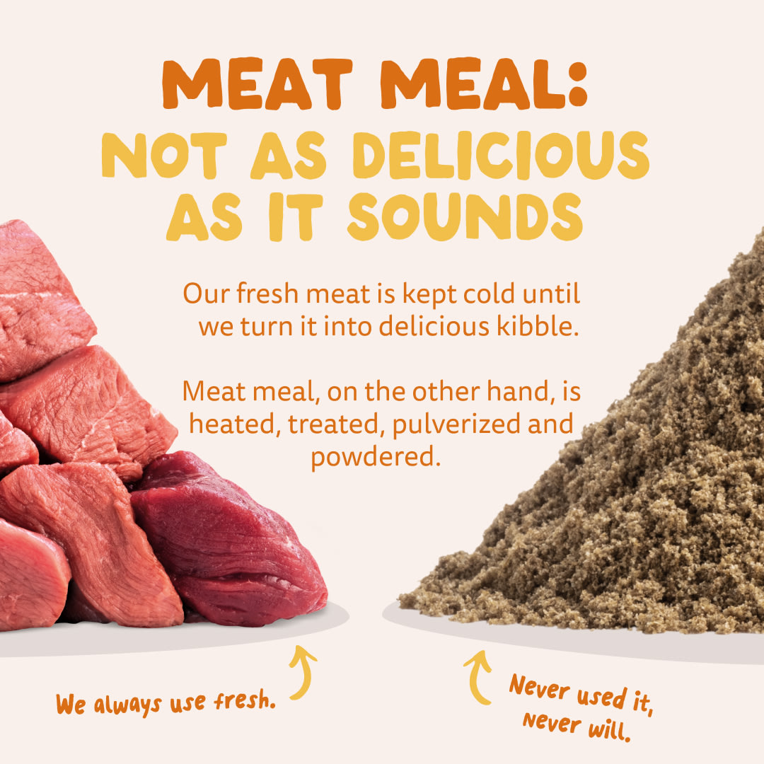 11 Dog-Refresh DTC-Assets EN Organic-Turkey MEAT-VS-MEAT MEAL