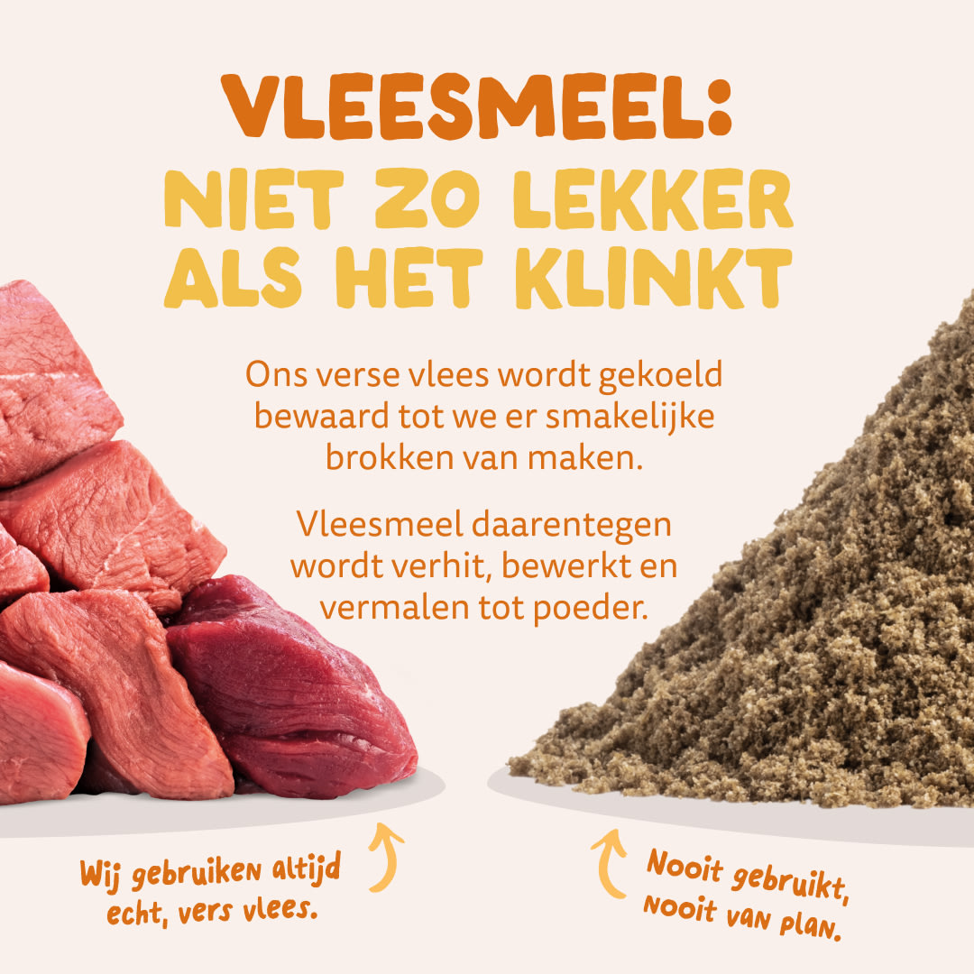 11 Dog-Refresh DTC-Assets NL Adult-OrganicTurkey MEAT-VS-MEAT MEAL