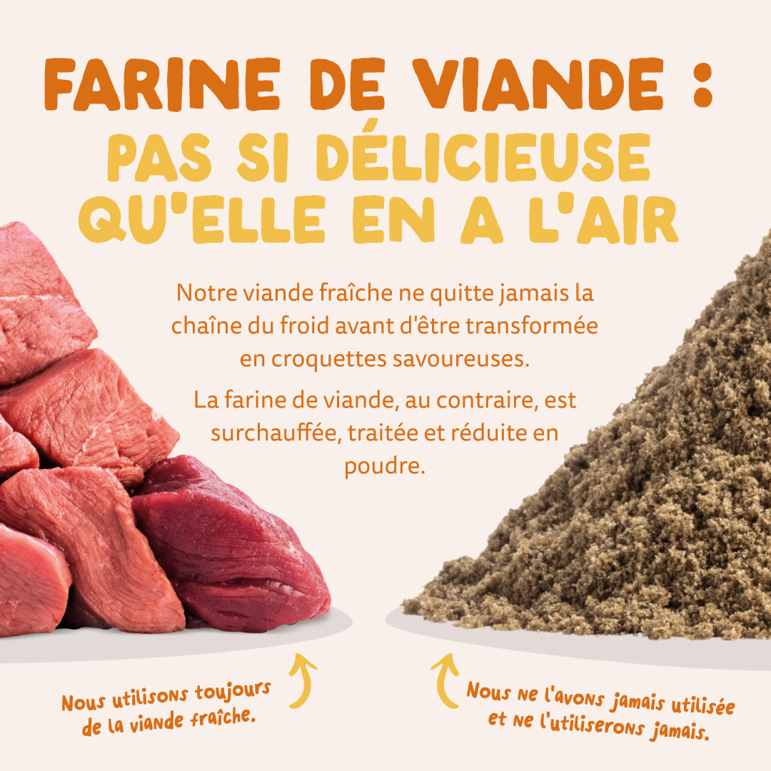 11 Dog-Refresh DTC-Assets FR Adult-OrganicTurkey MEAT-VS-MEAT MEAL