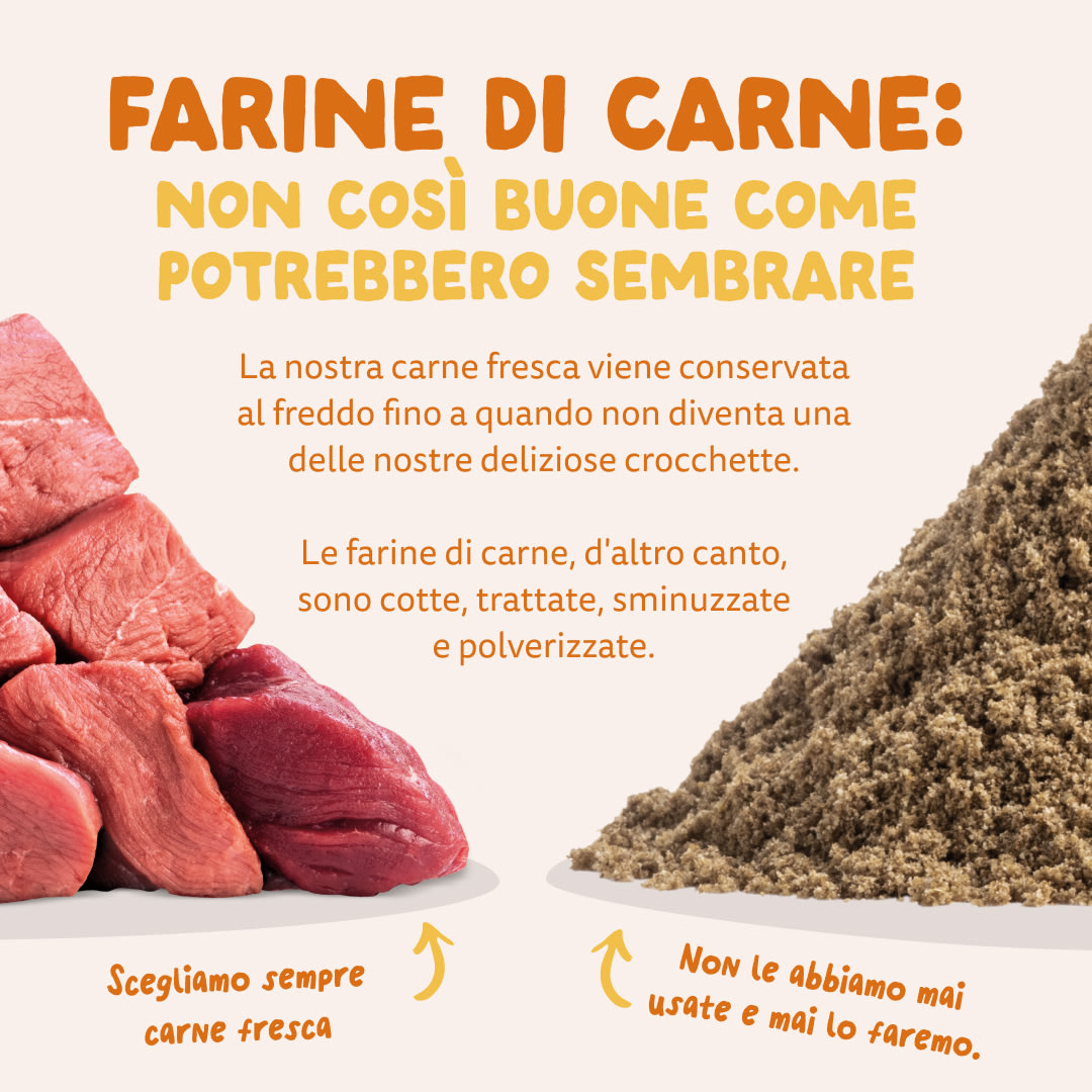 11 Dog-Refresh DTC-Assets IT Organic-Turkey MEAT-VS-MEAT MEAL