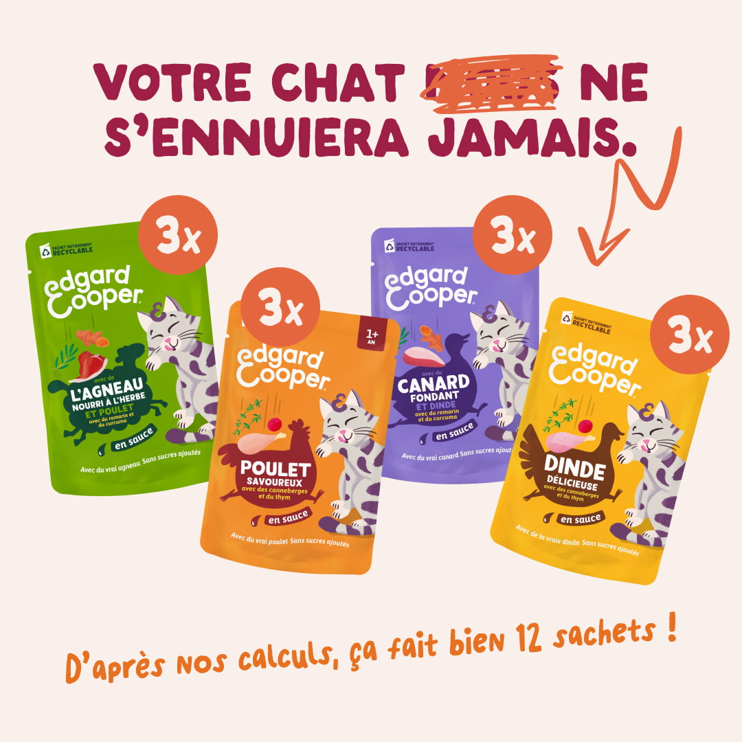 2 Chunks-Pouches DTC FR MeatMP BOP