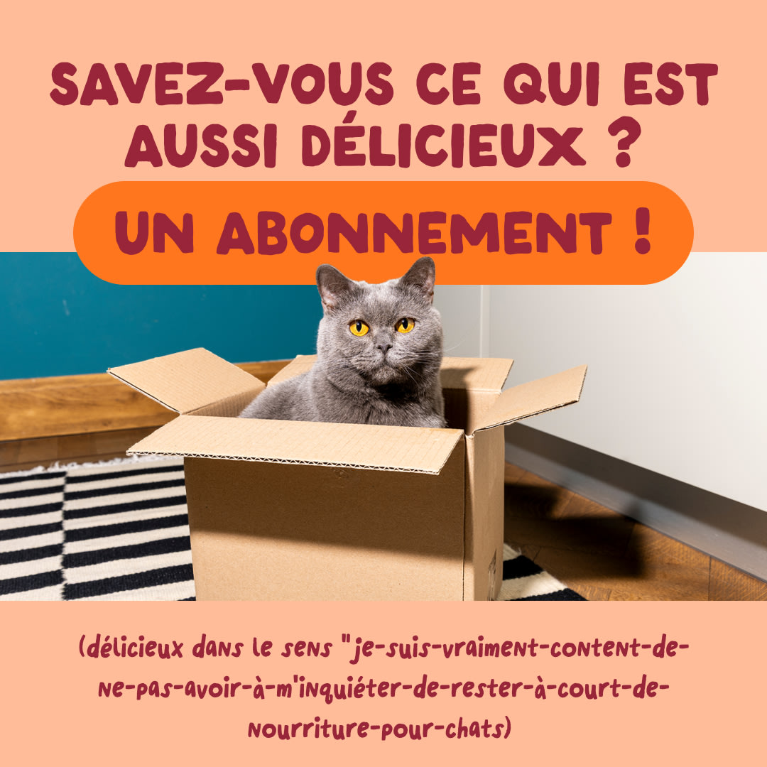 9 Cat-Fillets DTC FR ChickenNatural Subscription