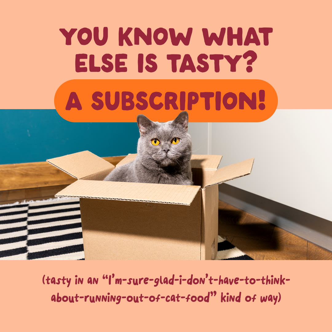 9 Cat-Fillets DTC EXP ChickenNatural Subscription
