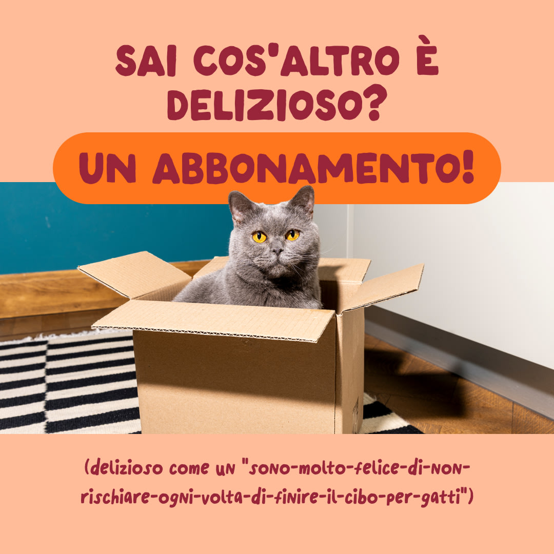 9 Cat-Fillets DTC IT ChickenNatural Subscription