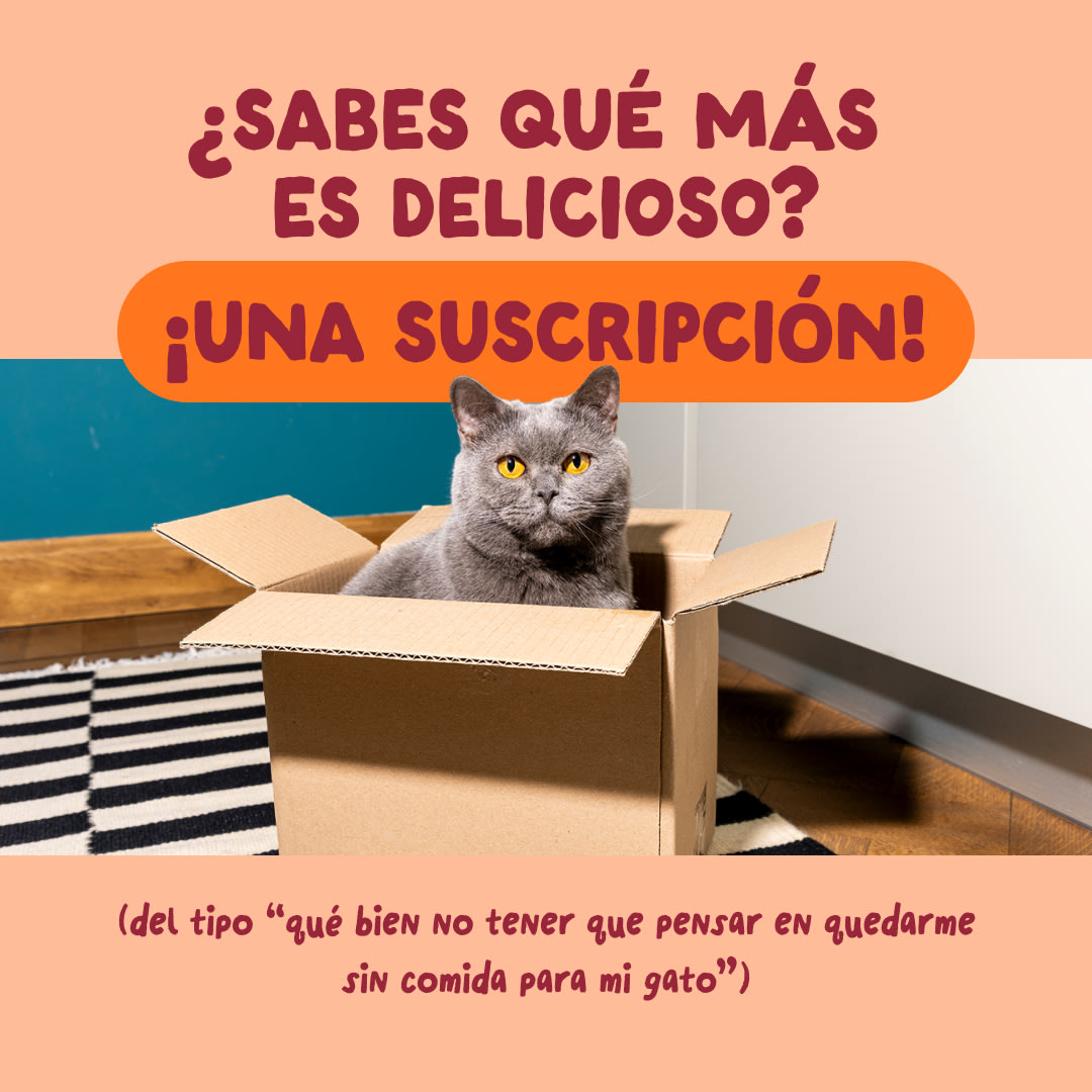 9 Cat-Fillets DTC ES ChickenNatural Subscription