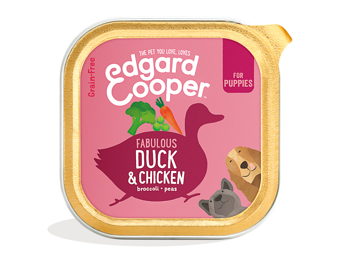 Pack - Dog Junior Paté Cup Duck Chicken EN