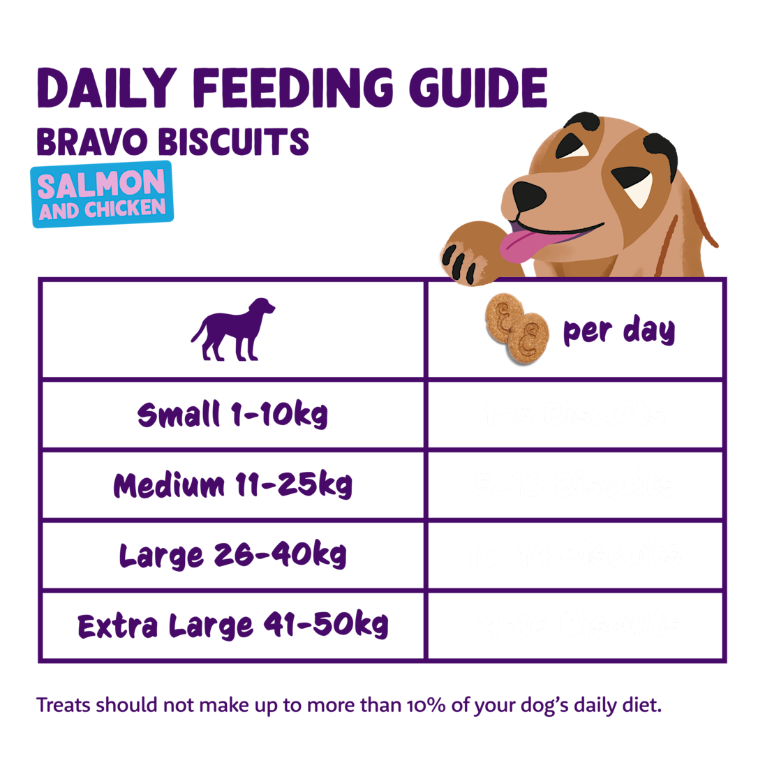 Feeding - Dog All Biscuits Salmon Chicken EN