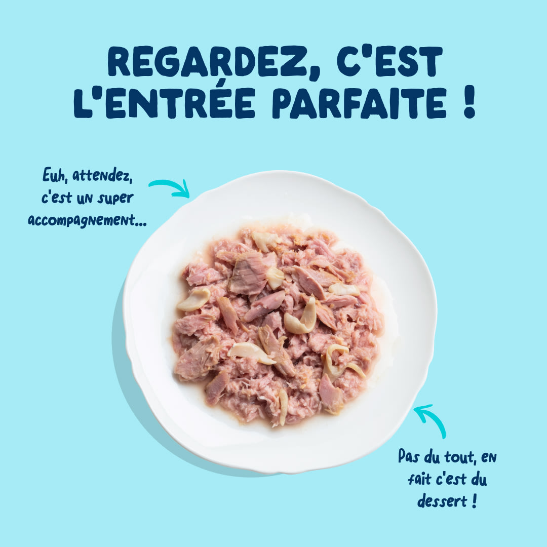 4 Cat-Fillets DTC FR TunaSquid TopView