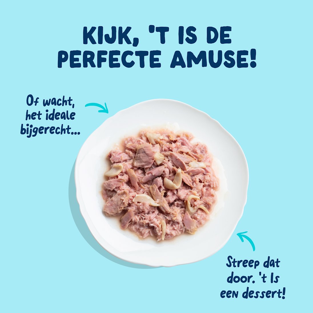 4 Cat-Fillets DTC NL TunaSquid TopView