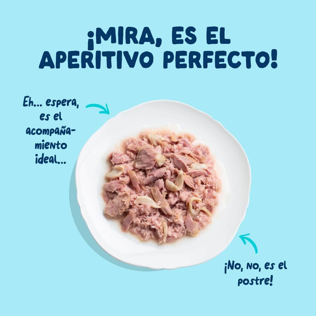 4 Cat-Fillets DTC ES TunaSquid TopView