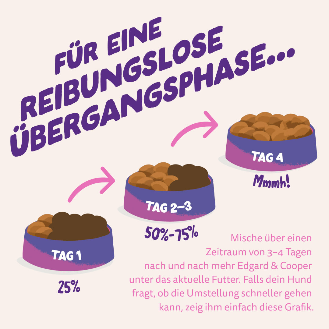 4 Dog-Refresh DTC-Assets DE Adult-Beetroot SWITCH