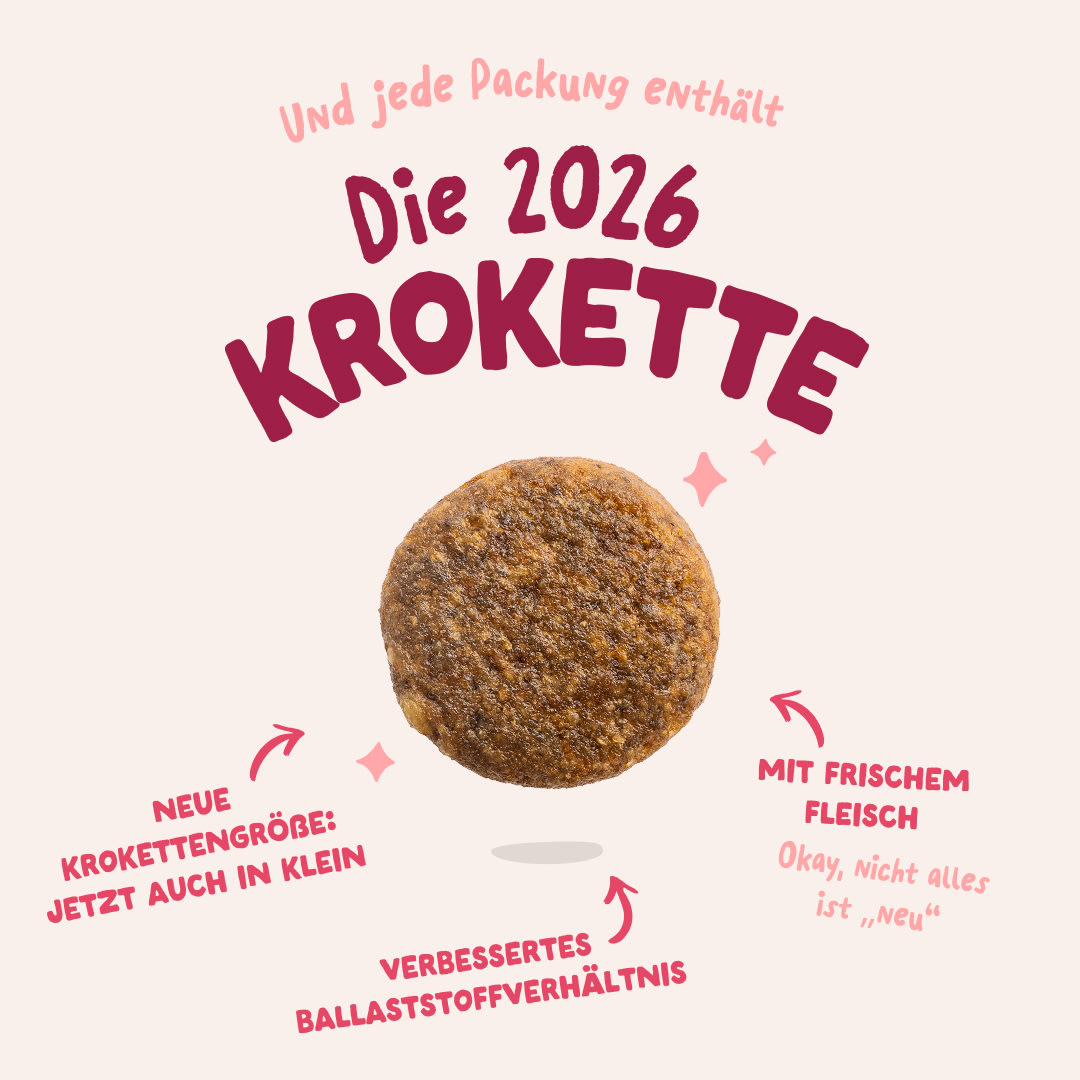 3 Dog-Refresh DTC-Assets DE Organic-Beef 2026 KIBBLE