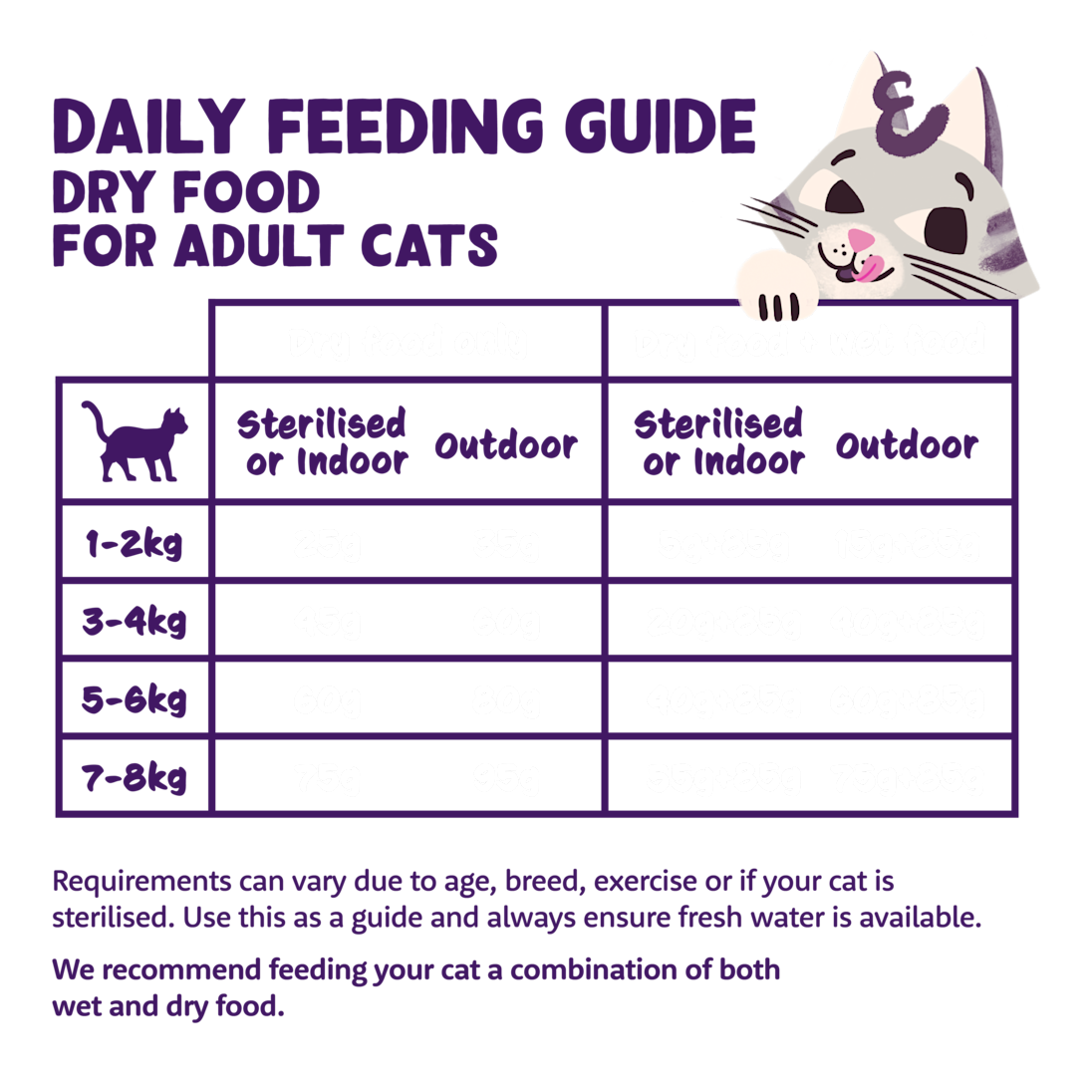 Feeding - Cat Adult Kibble EN