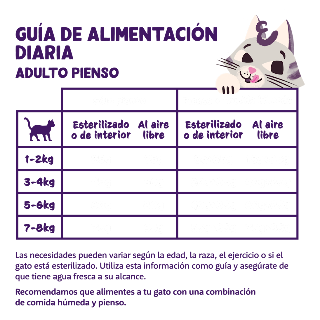 Feeding - Cat Adult Kibble ES