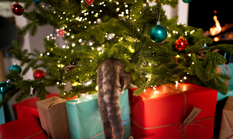 Cat walking in decorated Christmas tree.