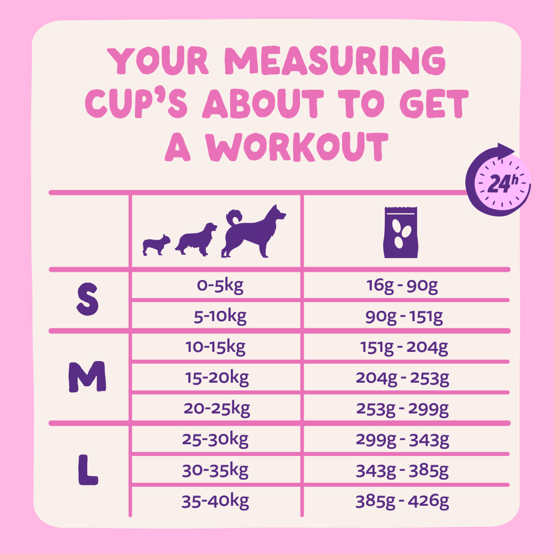 8 Dog-Refresh DTC-Assets EN Adult-Beetroot FEEDING-GUIDELINE