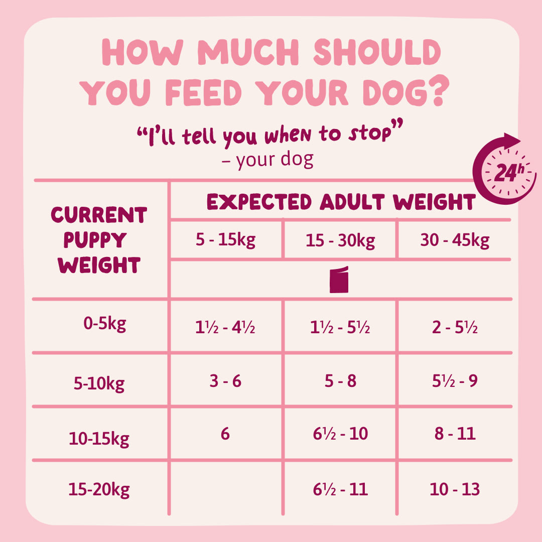 9 DWD D2C EXP PuppyTurkey FeedingGuidelines