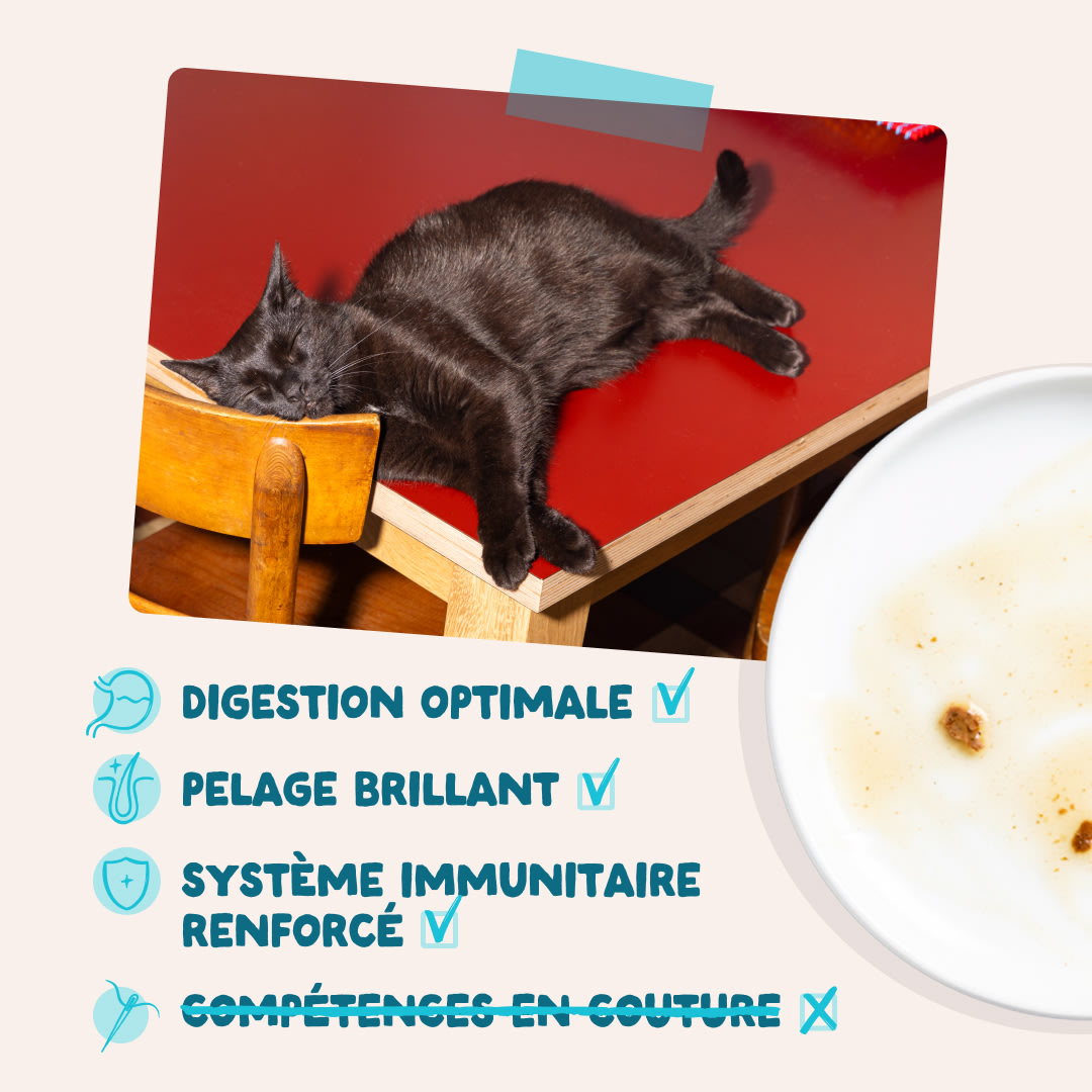 4 Chunks-Pouches DTC FR Tuna Benefits