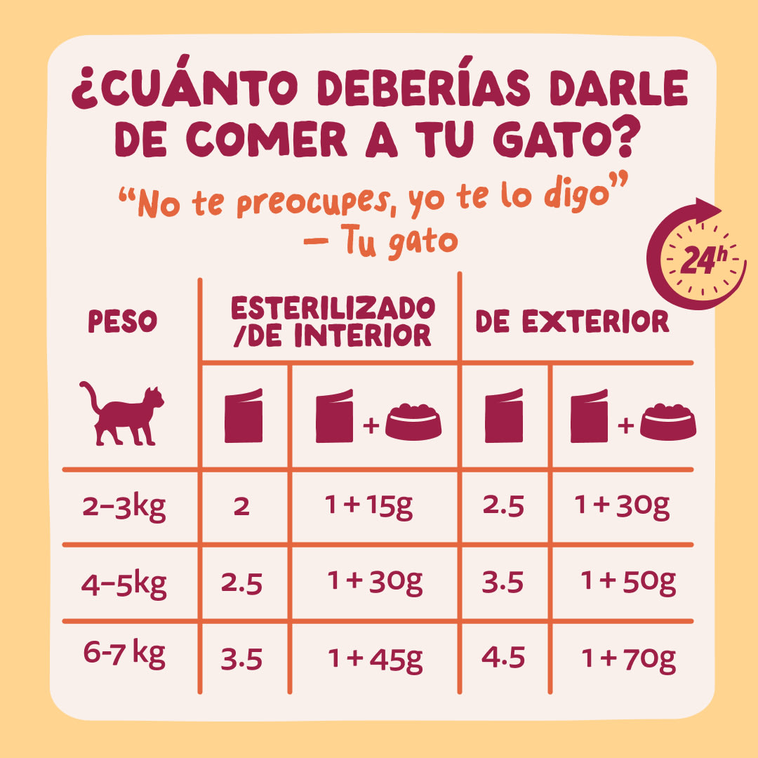 8 Chunks-Pouches DTC ES MeatMP Guidelines