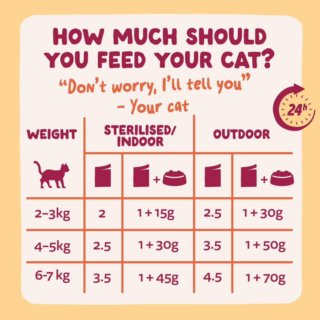 8 Chunks- Pouches DTC EXP MeatMP Guidelines