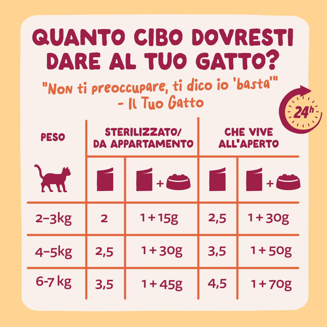 8 Chunks-Pouches DTC IT MeatMP Guidelines