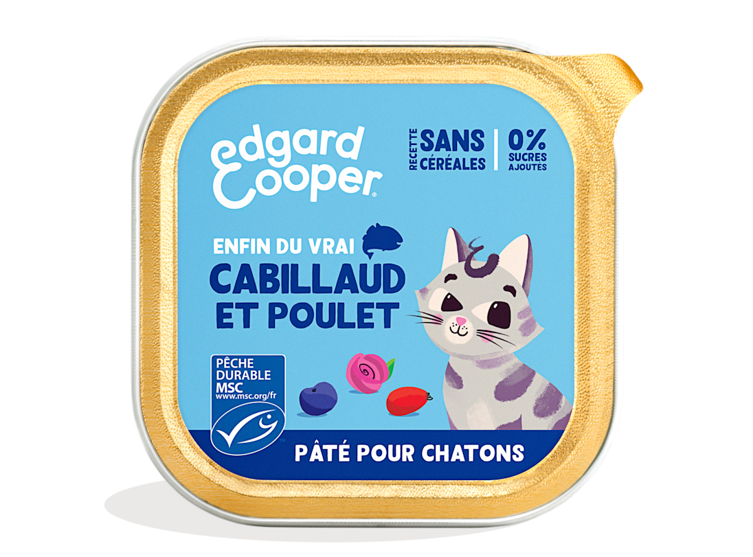 Pack - Cat Kitten Pate Cod Chicken FR