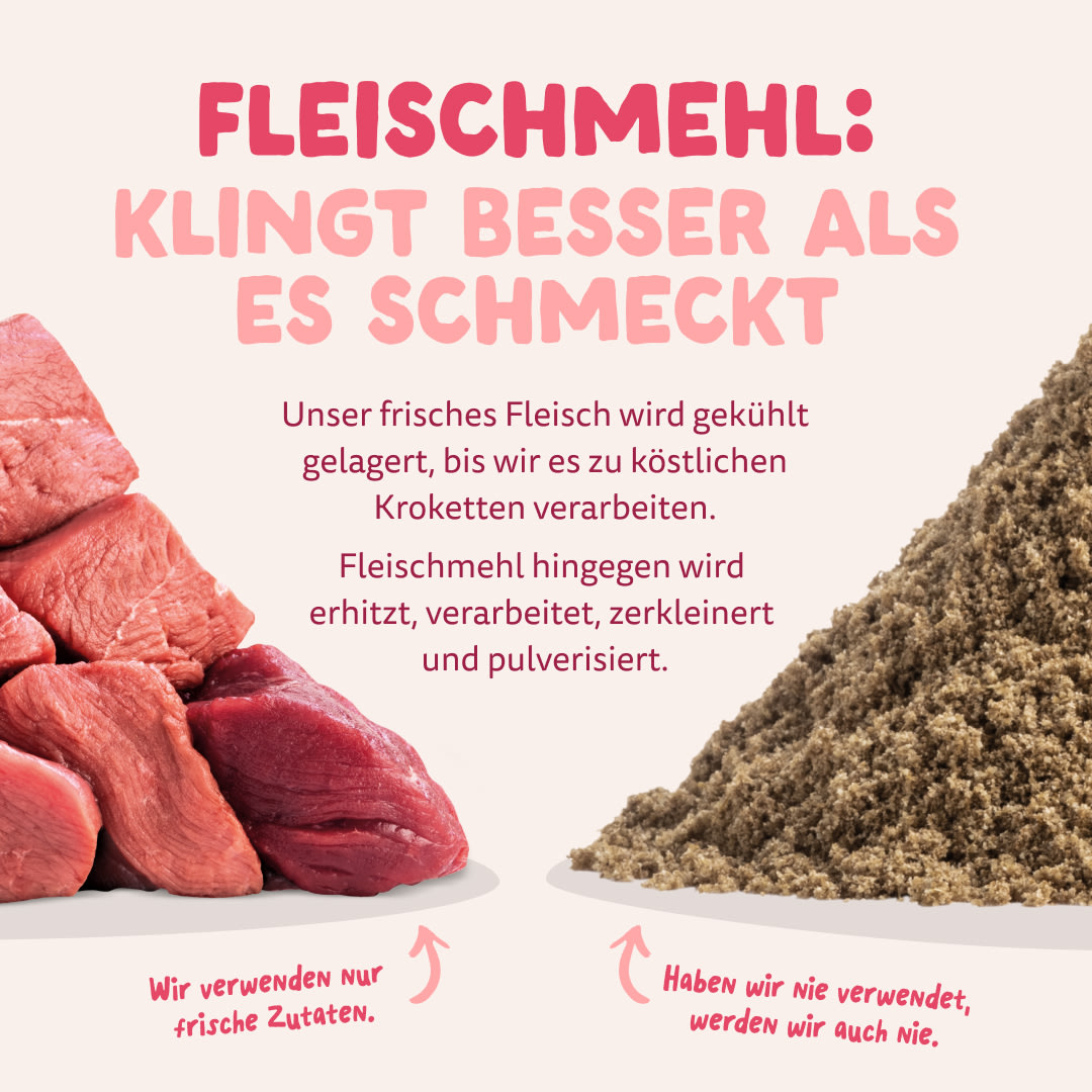 11 Dog-Refresh DTC-Assets DE Organic-Beef MEAT-VS-MEAT MEAL