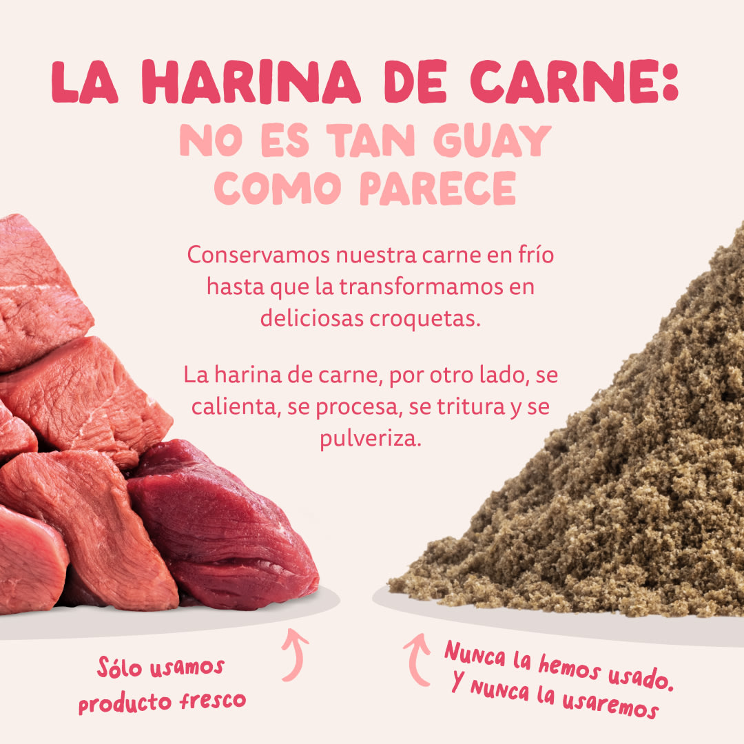 11 Dog-Refresh DTC-Assets ES Organic-Beef MEAT-VS-MEAT MEAL