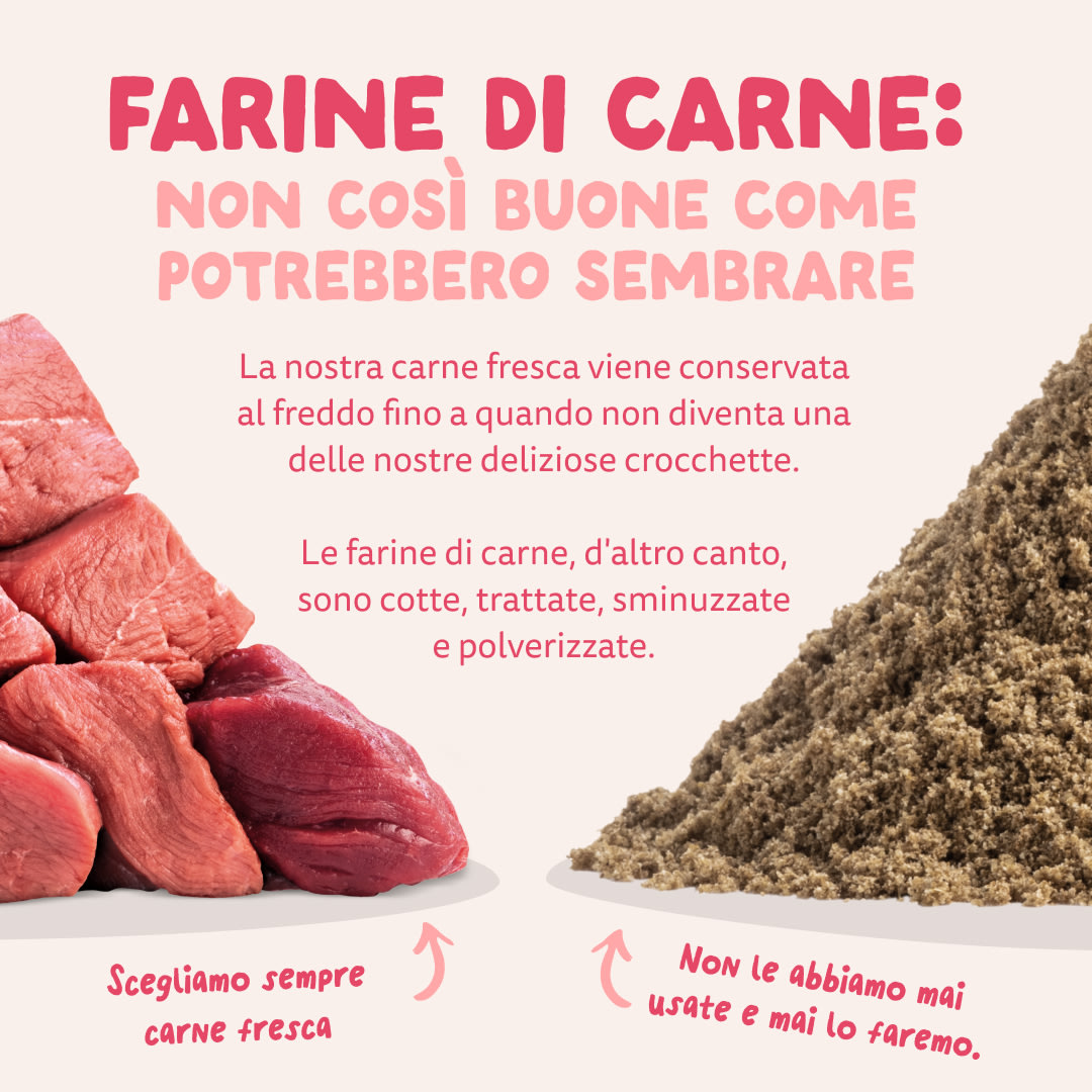 11 Dog-Refresh DTC-Assets IT Organic-Beef MEAT-VS-MEAT MEAL