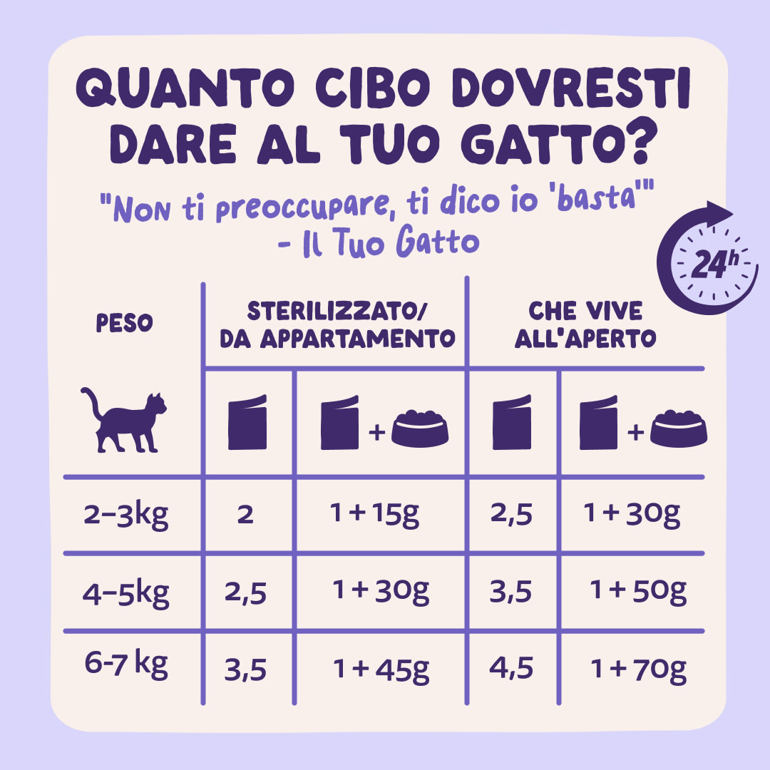 7 Chunks-Pouches DTC IT Duck Guidelines